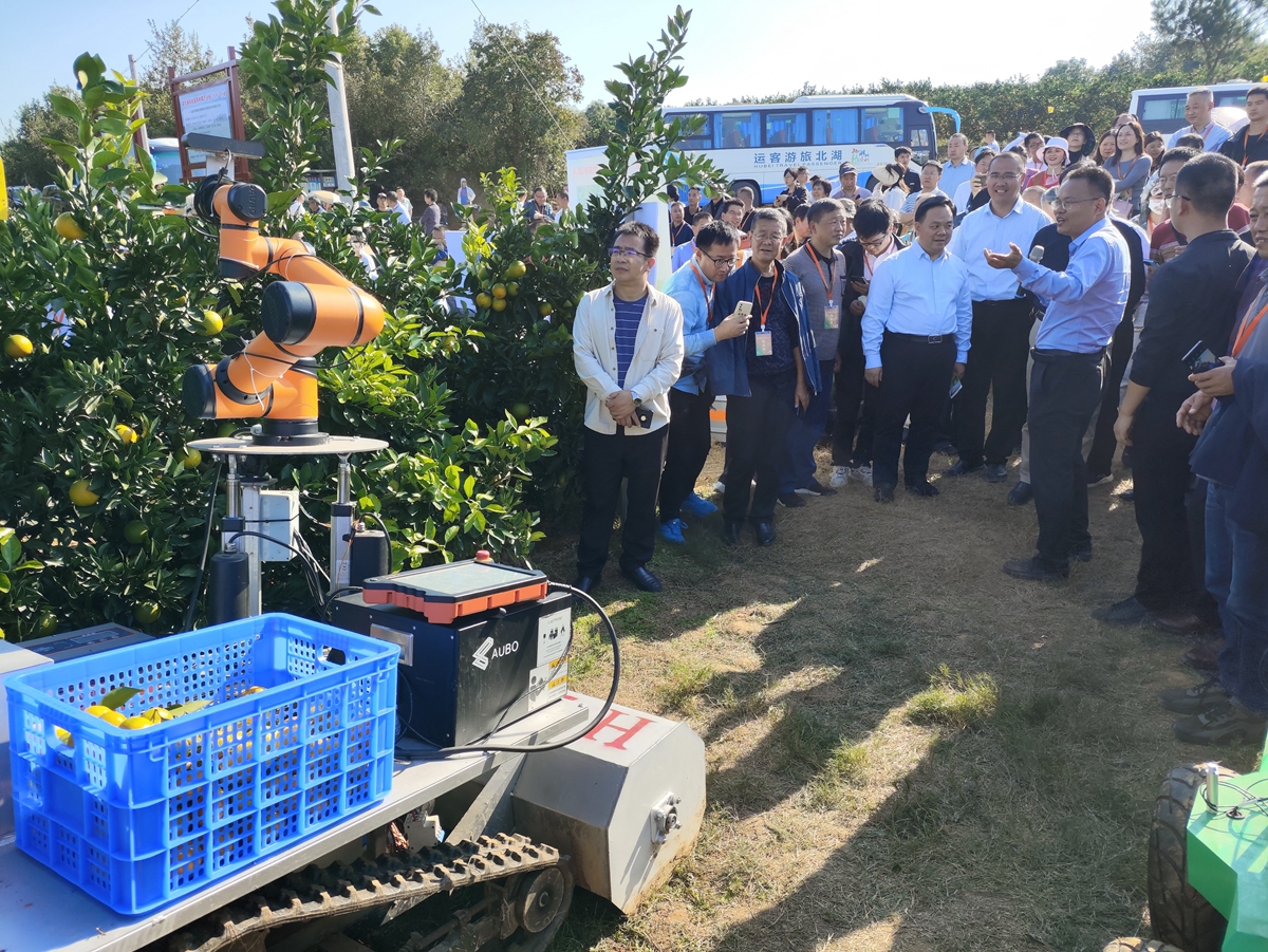 国家柑橘产业技术体系、我校6163银河线路检测中心教授李善军现场讲解展示柑橘采摘机器人（供图人 通讯员 鲍秀兰）